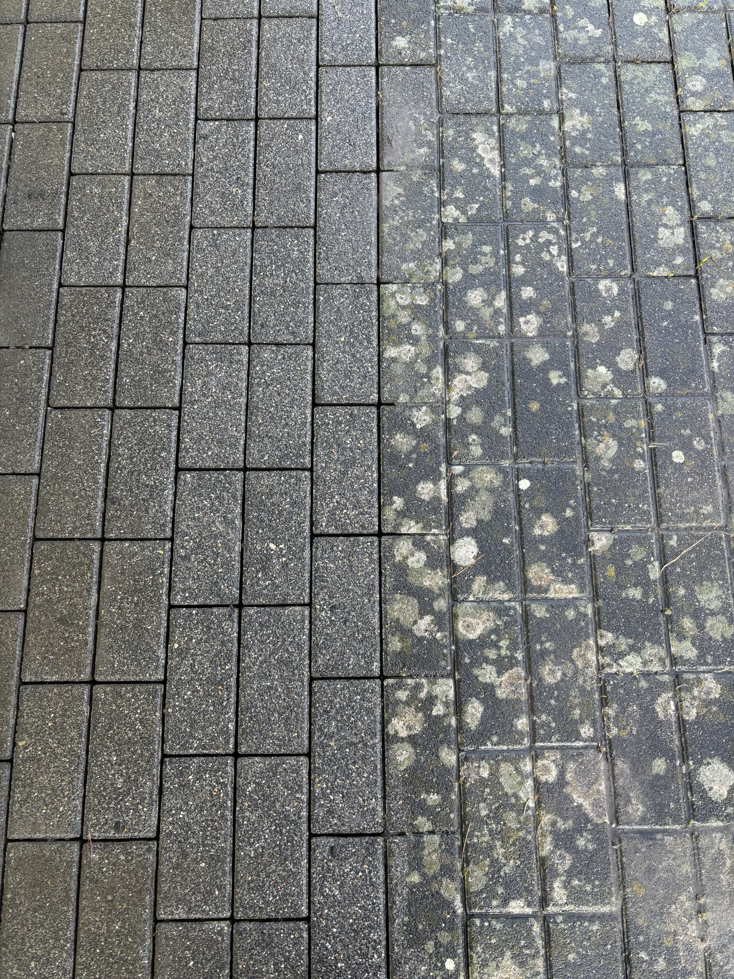 Unterhaltsreinigung